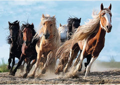 Trefl Galloping Horses Puzzle - 1000 Pieces | 10446