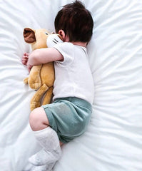 Twistshake Plush Toy Lion | 78506