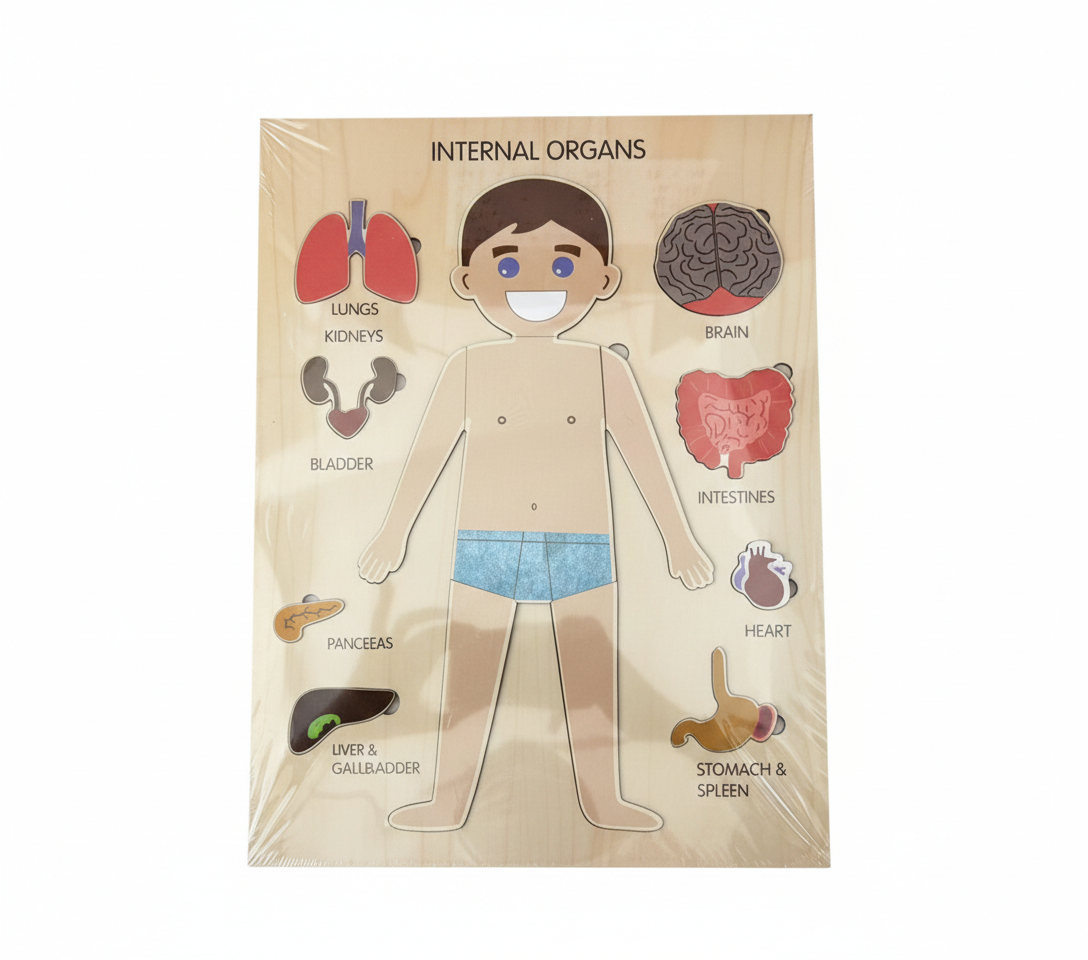 Kids Internal Organs Educational Wooden Puzzle - Human Body Learning Board | AL4460