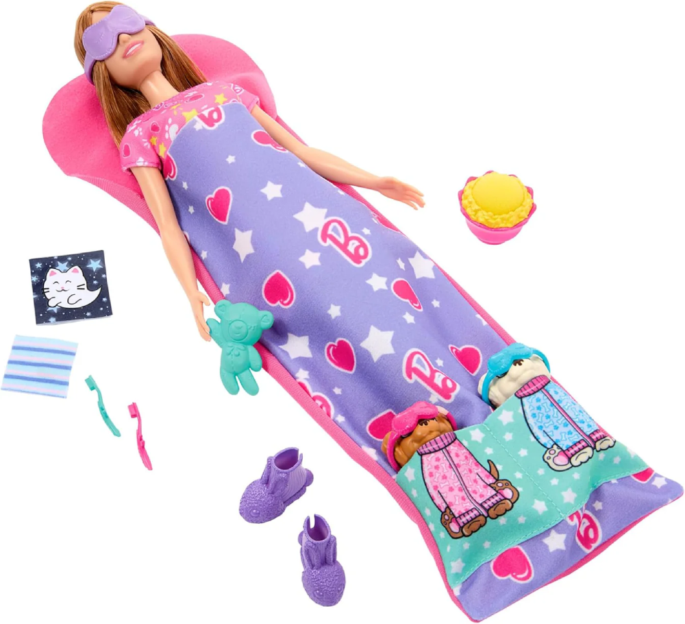 Barbie Doll and Play Set with 2 Toy Dogs | TE50622